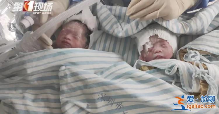 夫妻月收入約1萬 妻子辭職后養6個孩子壓力特別大？