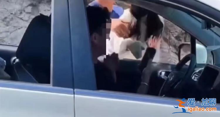 逆行還打人！法律的板子要讓打人者感到疼？
