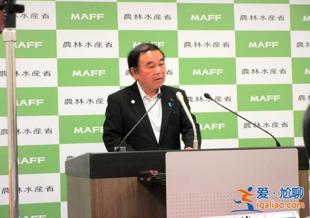 “昨天我問店員 說周三會進貨” 日本高管回應(yīng)“大米荒”言論引爭議？