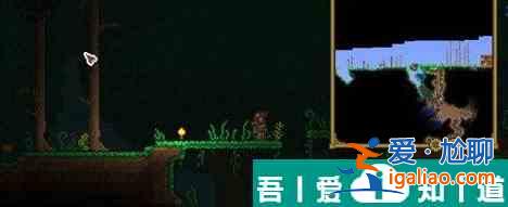 泰拉瑞亞怎么分辨周圍地形 泰拉瑞亞地表環境介紹？