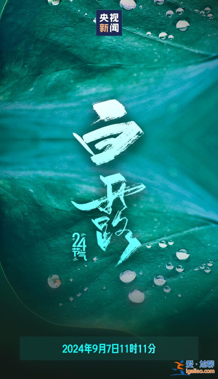 今日白露 明媚的仲秋時節正式登場？