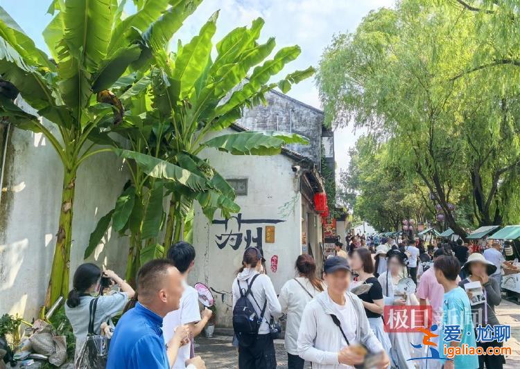 有安保值守 攝影師稱未在景區見過傷人者？