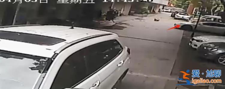 “5歲女童小區路面獨自玩耍時被車輛碾壓致死” 成都雙流警方通報？