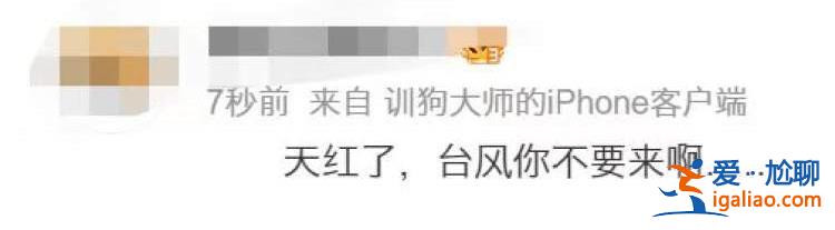 臺(tái)風(fēng)“貝碧嘉”登陸前 上海傍晚出現(xiàn)紫紅色天空？