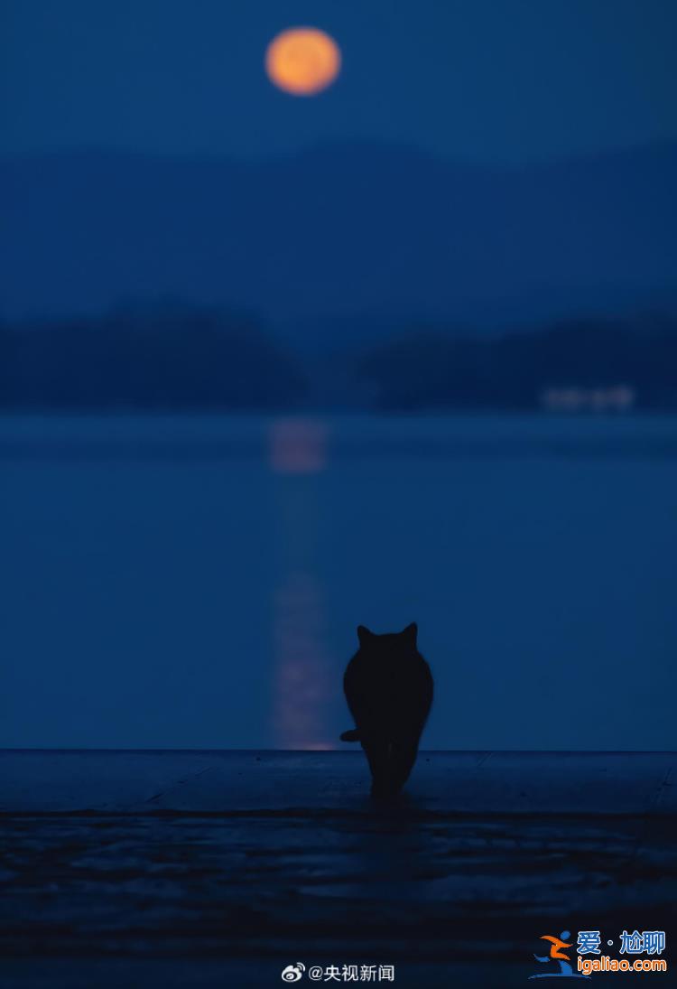 中秋夜再遇“超級月亮” 日落后一個(gè)多小時(shí)是賞月最佳時(shí)段？
