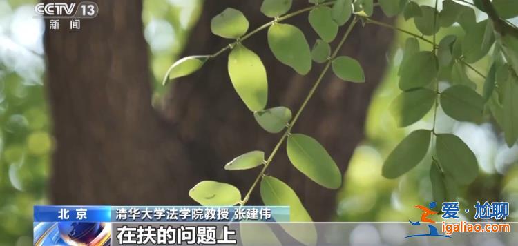 扶不扶？服！摔倒老人誣陷好心攙扶小伙被行拘？