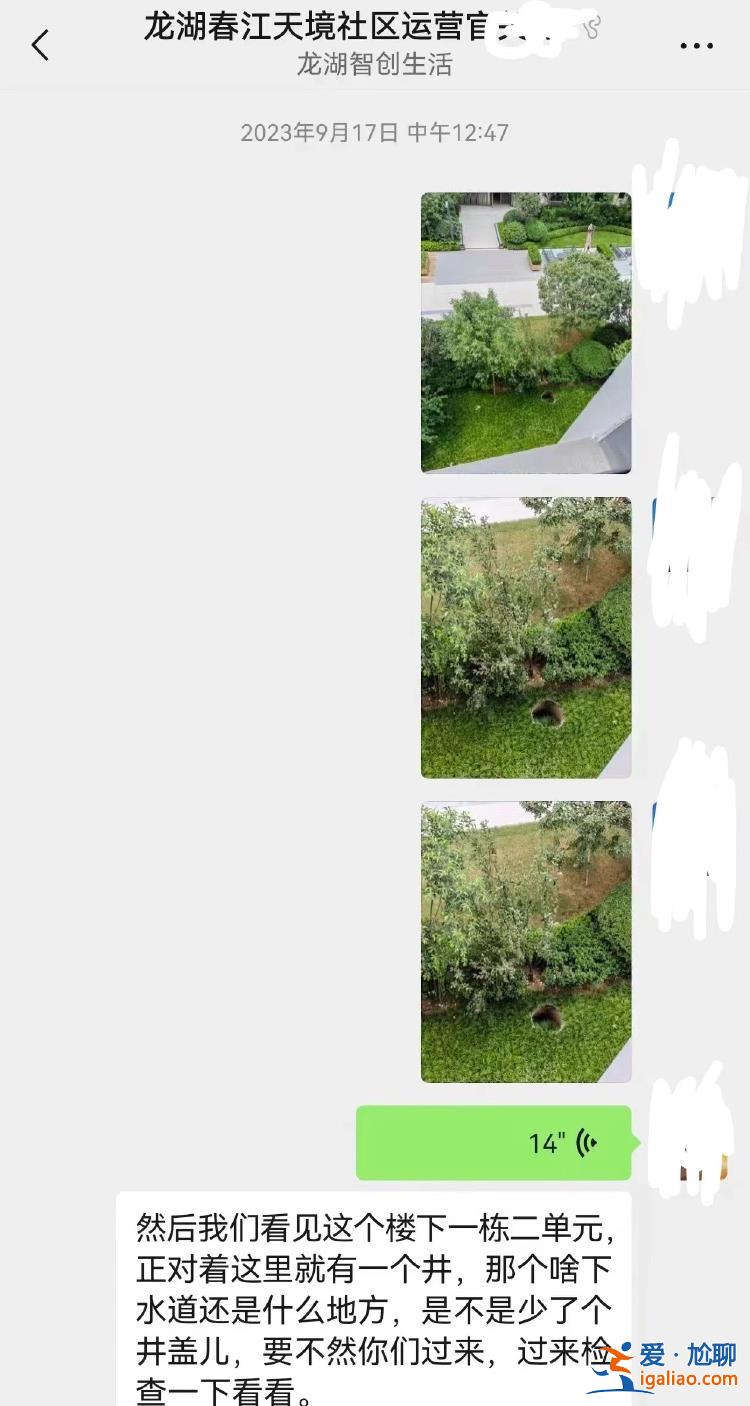 井口僅用膠合板覆蓋 8歲女童身亡？