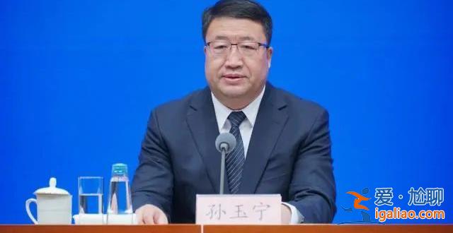 副部級“老虎”孫玉寧任上被查 今年內已有多名海關系統官員落馬？