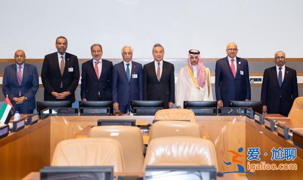 王毅集體會見海合會國家外長? 王毅集體會見海合會國家外長?