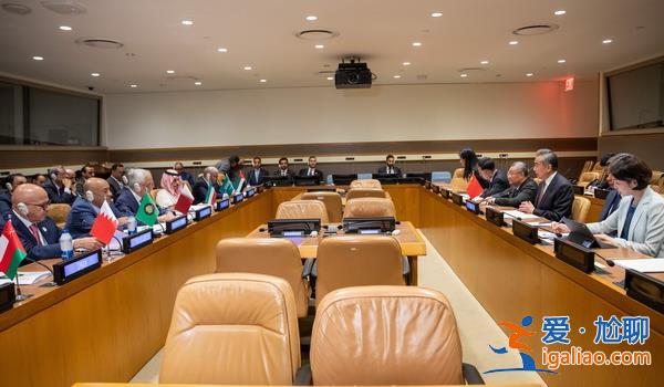 王毅集體會見海合會國家外長? 王毅集體會見海合會國家外長?