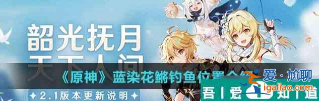 原神藍(lán)染花鳉釣魚在哪 具體一覽？