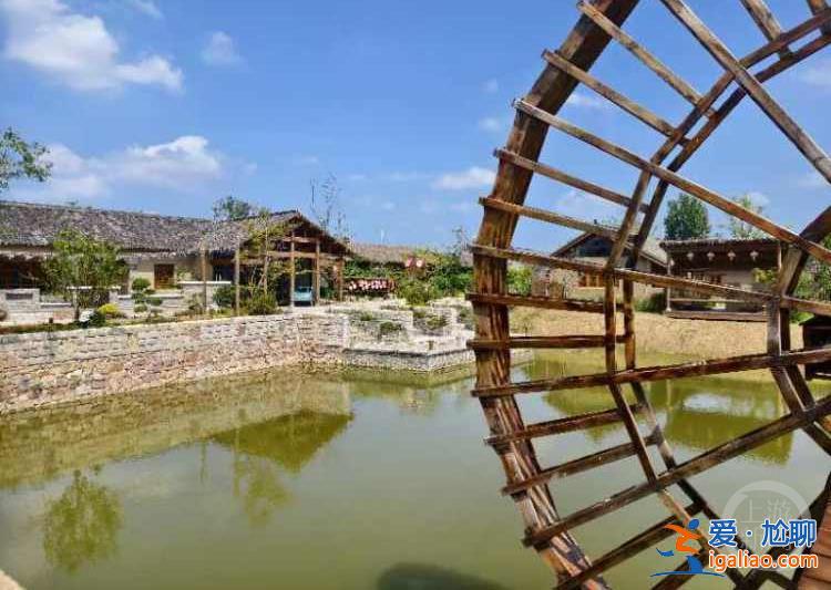 希望的田野丨“一聲驚雷”小崗村 靠農(nóng)旅融合再出圈? 希望的田野丨“一聲驚雷”小崗村 靠農(nóng)旅融合再出圈?