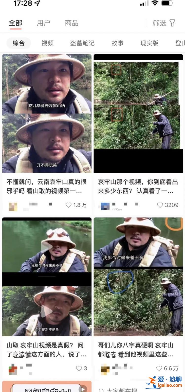是樹根？