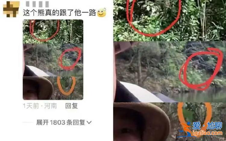 是樹根？