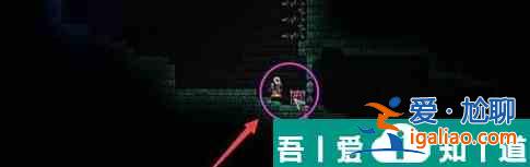 泰拉瑞亞怎么制作吸血扇 打法攻略？