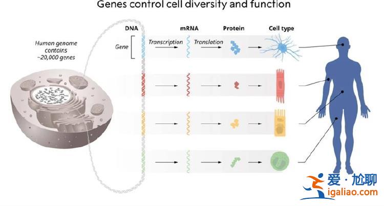 曾被冷落7年 終獲諾獎(jiǎng)? 曾被冷落7年 終獲諾獎(jiǎng)?