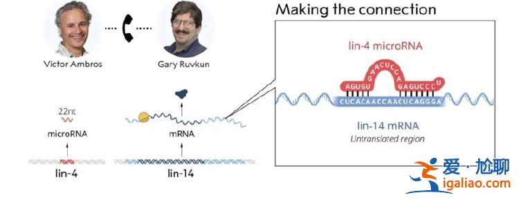 曾被冷落7年 終獲諾獎(jiǎng)? 曾被冷落7年 終獲諾獎(jiǎng)?