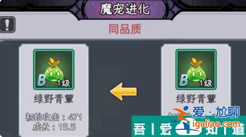 勇闖女巫塔魔寵怎么打 勇闖女巫塔魔寵攻略？