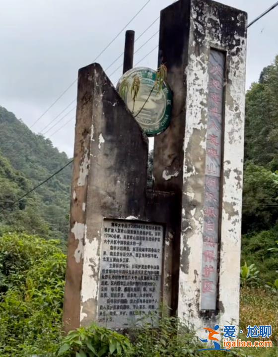 公告2022年就已發(fā)布？