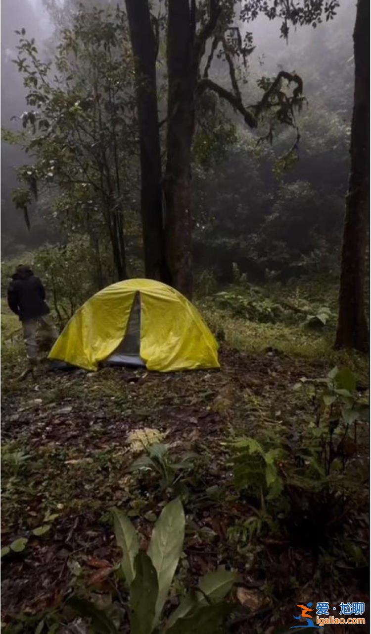 全網直播都能去 我為什么不能去? 全網直播都能去 我為什么不能去?