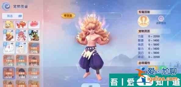 仙境傳說愛如初見傳說寵物哪個好 傳說寵物選擇推薦？