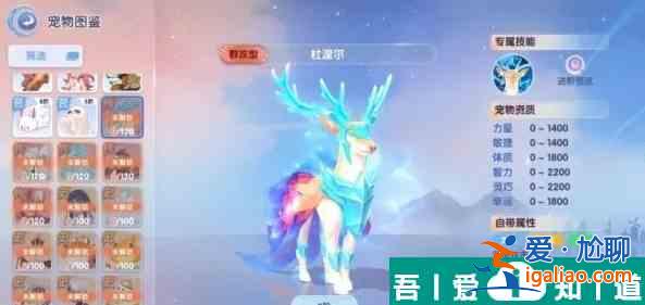 仙境傳說愛如初見傳說寵物哪個好 傳說寵物選擇推薦？