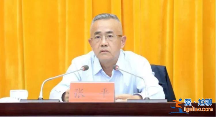 “內(nèi)鬼”張平被決定逮捕！長期與私營企業(yè)主深度“捆綁”？