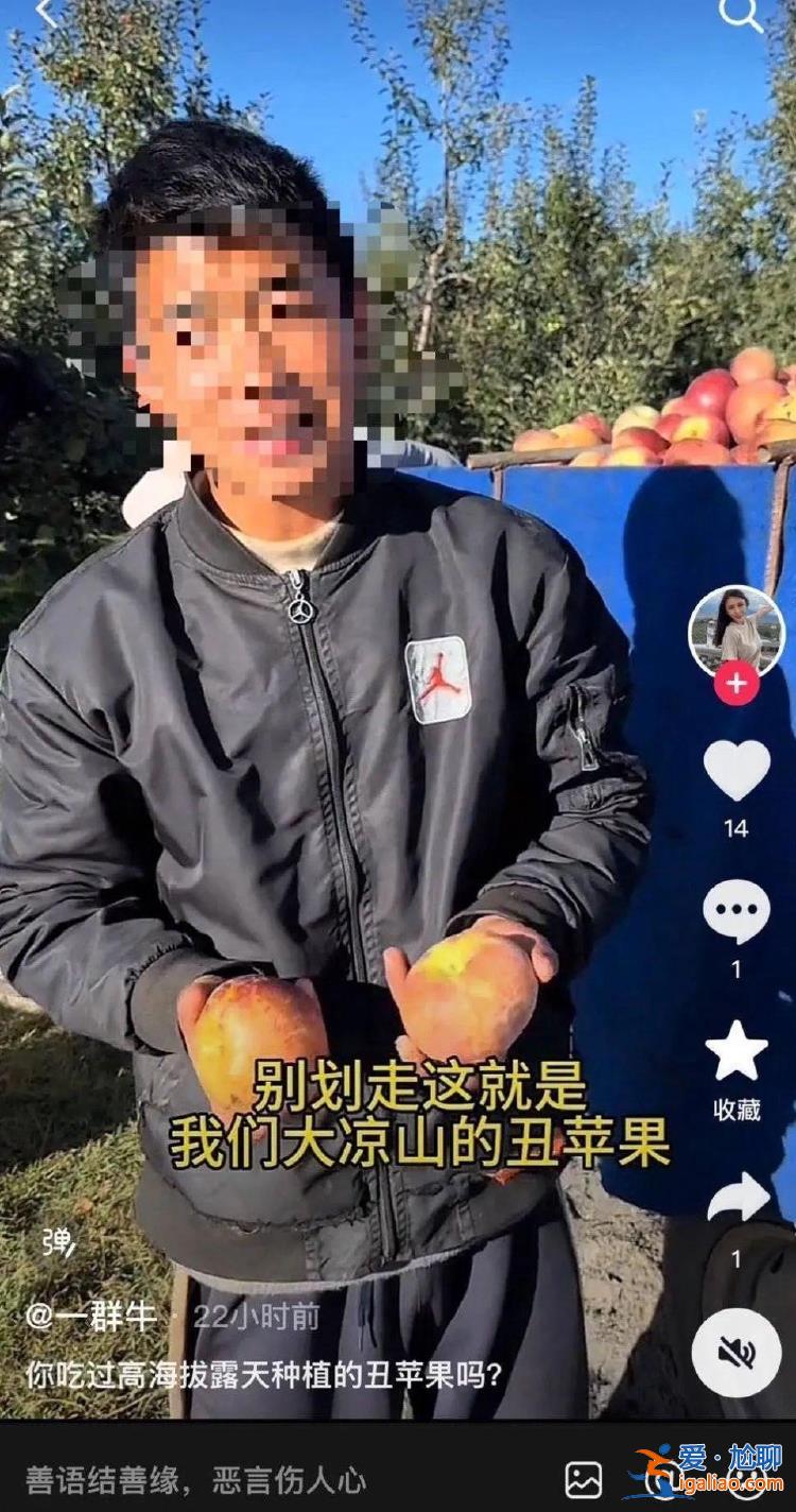 哥哥讀北大弟弟只能輟學賣蘋果？“擺拍賣慘”營銷再現 當地啟動調查？