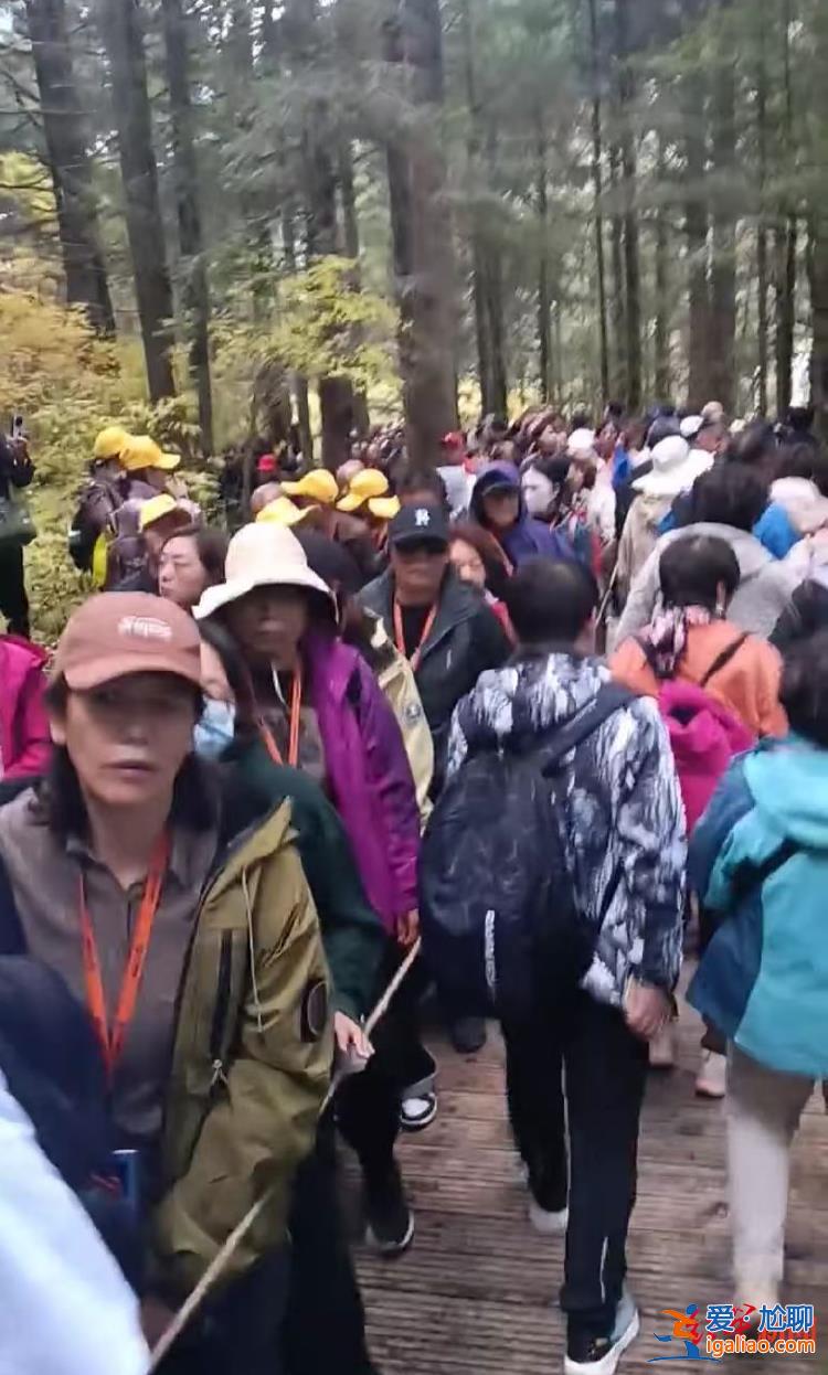 事發(fā)當天已恢復正常運行？