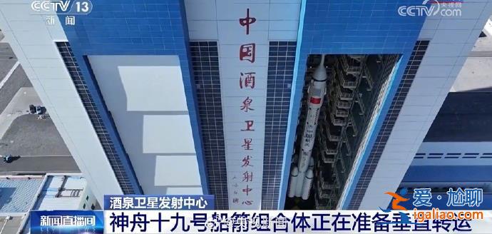 神舟十九號船箭組合體將進行垂直轉運？