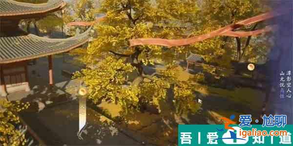 射雕登山觀禪成就怎么達成 射雕登山觀禪成就達成攻略？
