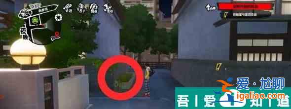 女神異聞錄夜幕魅影尋找橘貓茶太的寶物雜司谷位置在哪 具體一覽？