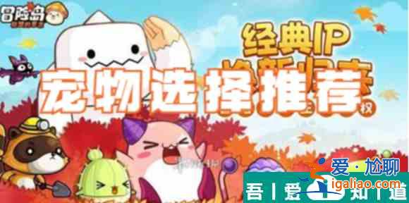冒險(xiǎn)島聯(lián)盟的意志exr寵物 冒險(xiǎn)島聯(lián)盟的意志寵物選擇推薦？