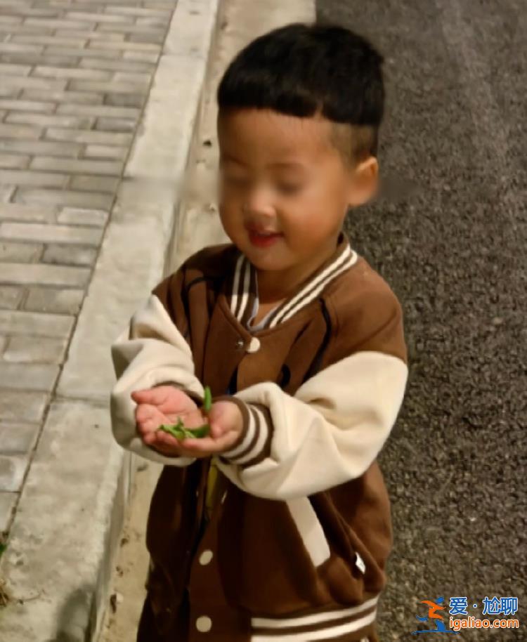 警方說監控過于暴力 僅口頭轉述？