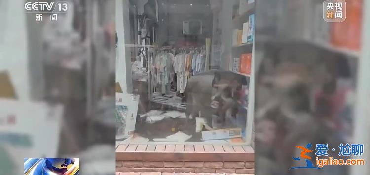 野豬“下山進城”為哪般？可以捕殺嗎？？