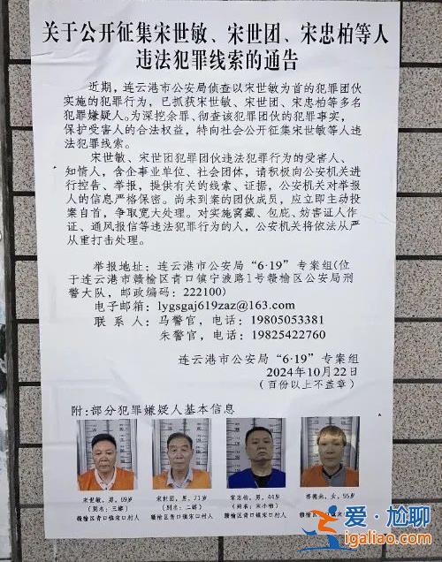 “明星”副縣長成涉黑頭目 記者實探“蘇北第一村”？