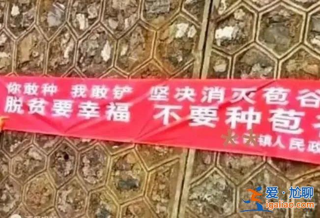 狂妄的“8億書記” 被查當(dāng)月還在貪？