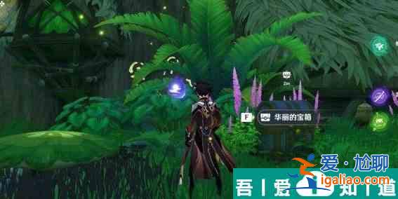 原神須彌蘑菇枯萎了怎么辦 具體一覽？