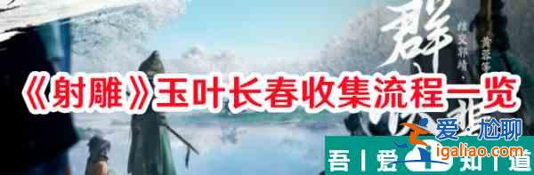 射雕玉葉長春怎么收集 射雕玉葉長春收集流程一覽？