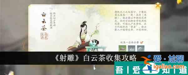 射雕白云茶怎么收集 射雕白云茶收集攻略？
