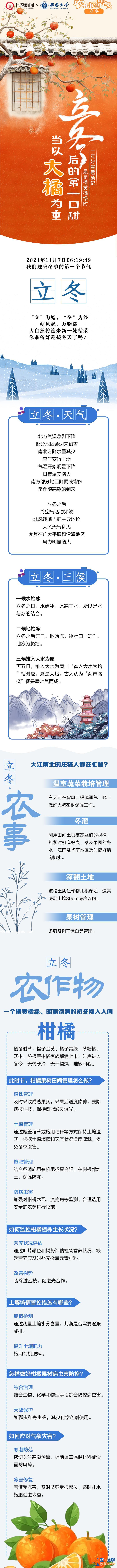 農(nóng)時(shí)說節(jié)氣｜立冬后的第一口甜 當(dāng)以“大橘”為重？