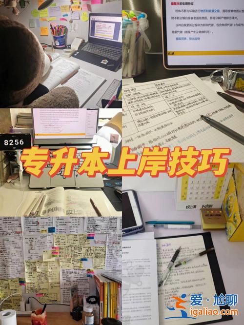 專升本上岸孤獨？剛上專科大一感覺很孤獨怎么辦？