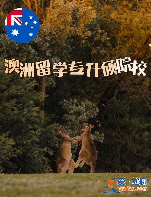 澳大利亞留學提升學歷？申請澳大利亞留學的條件？