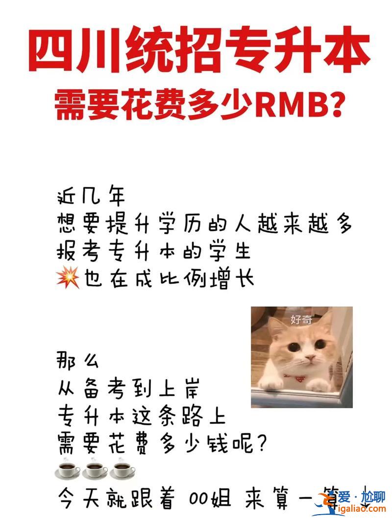 專升本文員？專升本費(fèi)用多少？