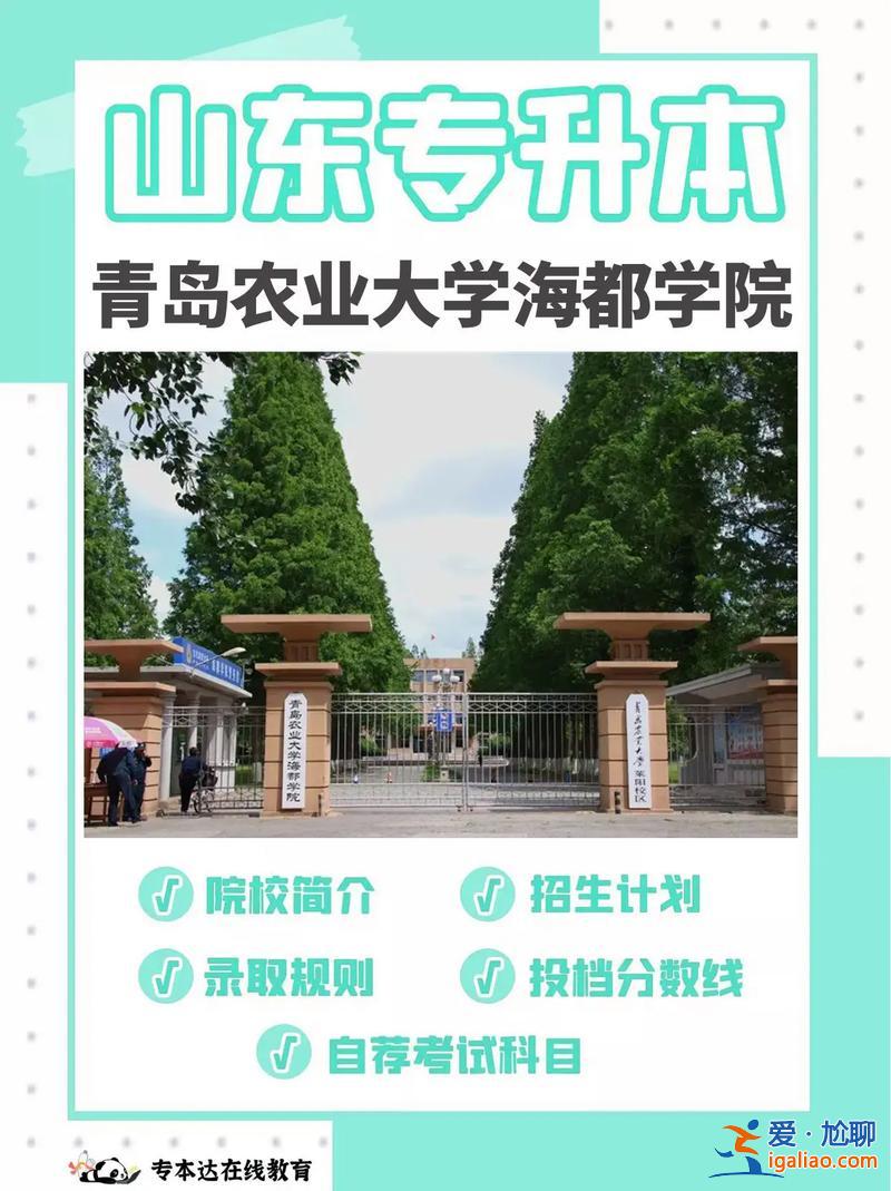 國辦專升本，青島康復大學招專升本嗎？