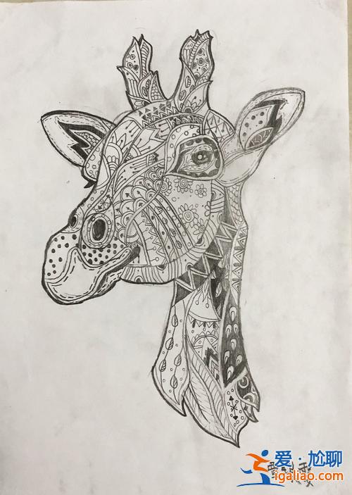 金華初中升學暑假班有哪些，金華有沒有素描的暑假班？