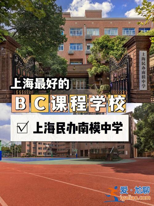 上海南陽模范中學對口升學(上海莘莊中學和南洋中學哪個好)？