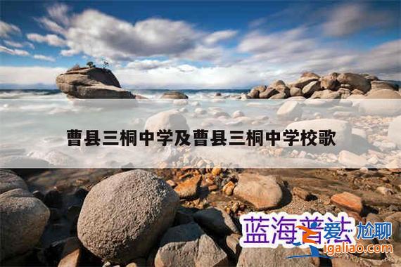 園三升學率 三桐的升學率在全省第幾？
