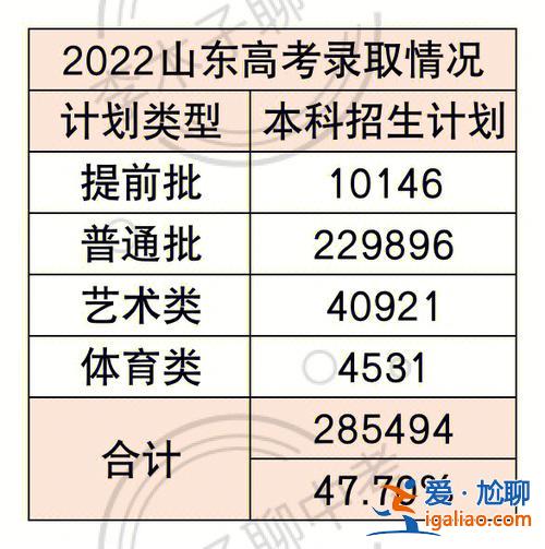 去年本科升學率是多少，本科錄取率是百分之多少？