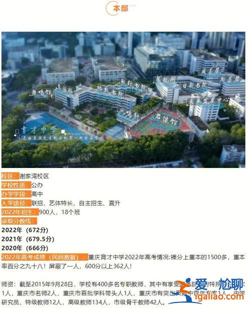 深圳育才龍珠學(xué)校升學(xué)率，重慶九龍珠學(xué)校有哪些？